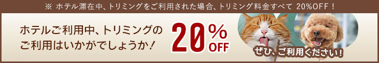 トリミング20％OFF