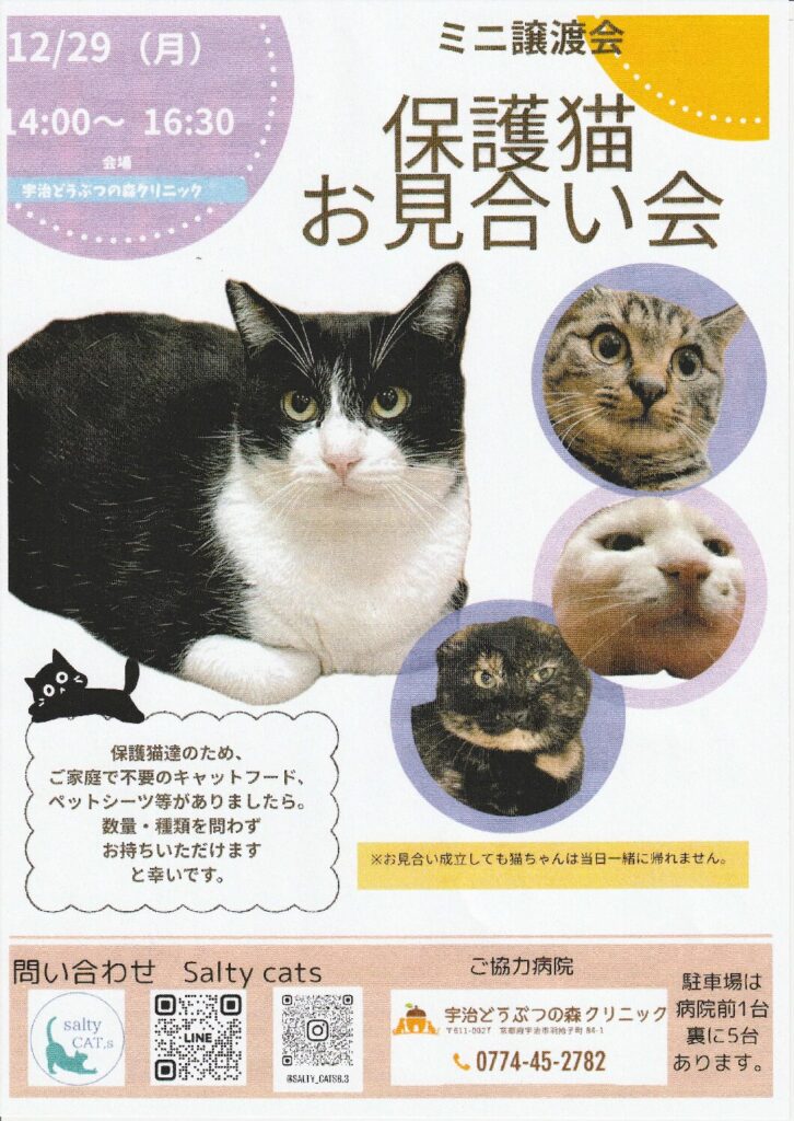 現在の画像に代替テキストがありません。ファイル名: IMG_20251209_0001-1-pdf.jpg